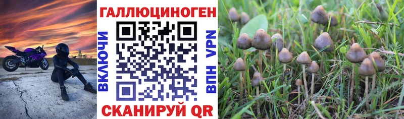 Псилоцибиновые грибы Cubensis  Усть-Катав 